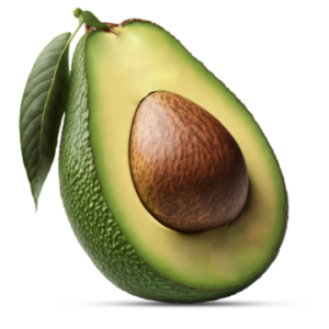 avocoda